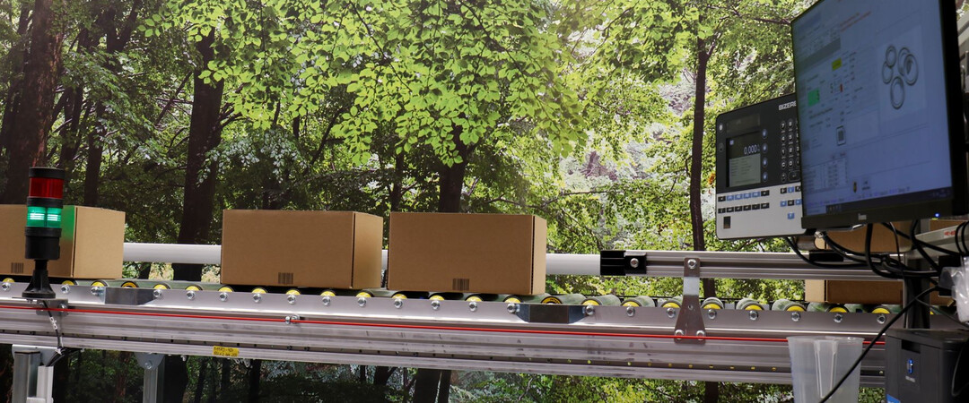 Der Ludwig Meister "Lagerwald"