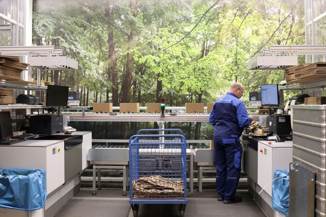 Der Ludwig Meister "Lagerwald"