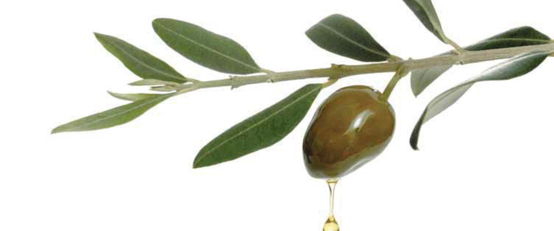 Optimierte Logistik für Superzentrifugen.