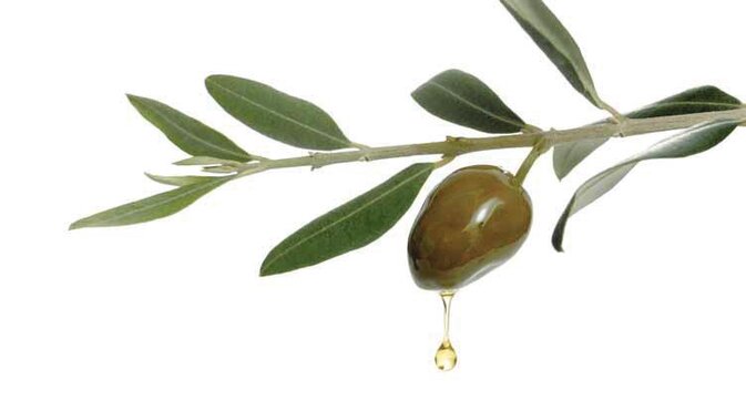 Optimierte Logistik für Superzentrifugen.