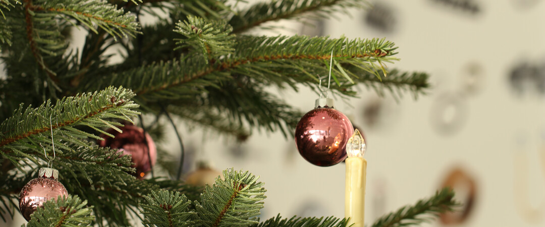 Frohe Weihnachten und einen guten Start ins neue Jahr.