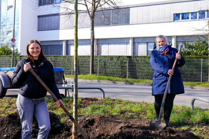 Baumspende für eine nachhaltige Zukunft: OKR-Projekt