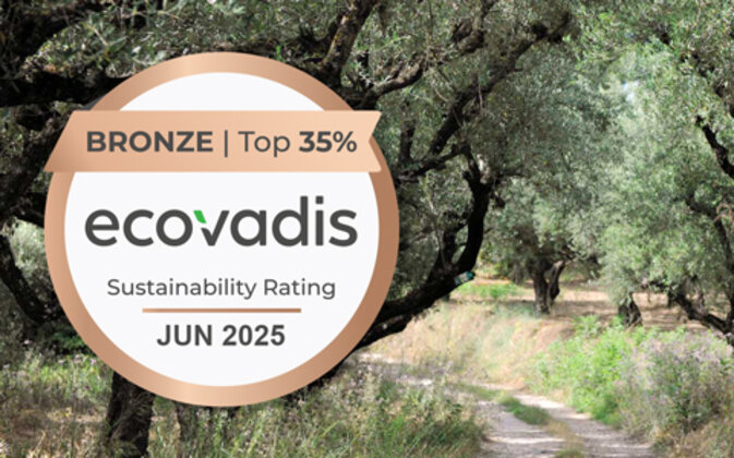 Nachhaltigkeit sichtbar gemacht: Ludwig Meister unter den Top 35 % bei EcoVadis