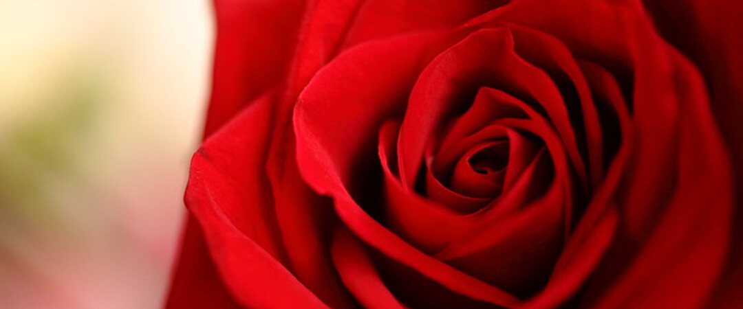 Sonntag ist wieder Muttertag - aber nicht nur am Sonntag