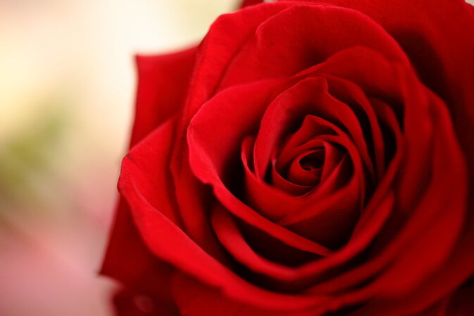 Sonntag ist wieder Muttertag - aber nicht nur am Sonntag