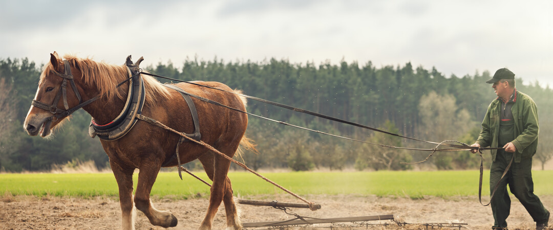 Im Märzen der Bauer…