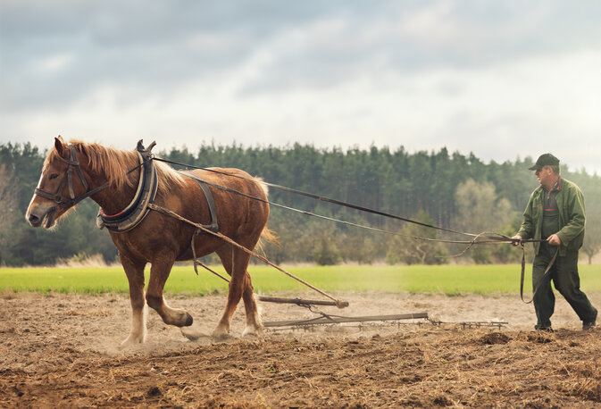 Im Märzen der Bauer…