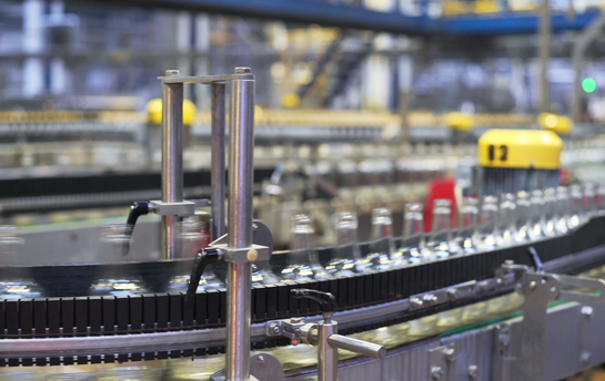 Leere Glasflaschen auf Förderband in automatisierter Abfüllanlage