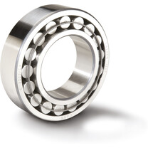 CARB Toroidalrollenlager