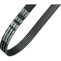 Rippenbänder und Flachriemen